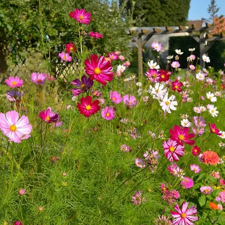 Logis & Restaurant Chateau De La Marjolaine 3* Essomes-sur-Marne