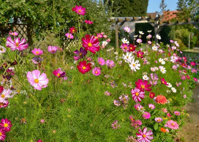 Logis & Restaurant Chateau De La Marjolaine 3* Essômes-sur-Marne